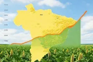 projeção soja Brasil 2026