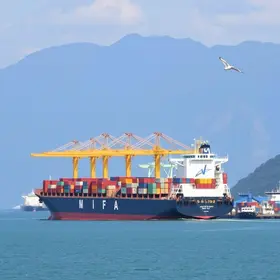 prorrogação das cotas de importação