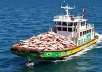 exportação de pescados