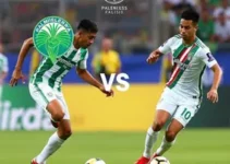 Palmeiras x Fluminense