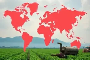 compras agrícolas da China nos EUA