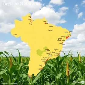 produção de milho