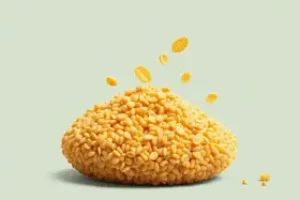 transformar R$ 40 em marca de granolas