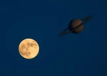Lua da Colheita