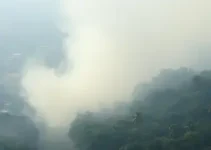 alerta de fumaça no Amazonas